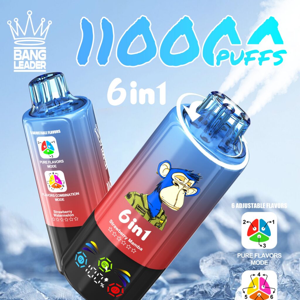 BANG LEADER 110K Puffs 6-in-1 Disposable Vape, 110,000 Puffs, 60 ml