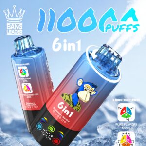 BANG LEADER 110K Puffs disposable vape - 6-in-1 switchable flavour device, 110,000 puffs, 60 ml