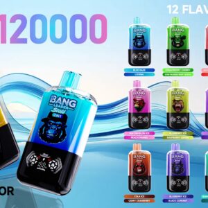 BANG LEADER 120K Puffs disposable vape - dual flavour 2-in-1 switchable device, 120,000 puffs, 60 ml