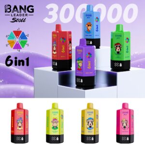 BANG LEADER 300K Puffs disposable vape - 6-in-1 switchable flavour device, 300,000 puffs, 90 ml