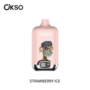 OKSO Digital Box 12000 disposable vape